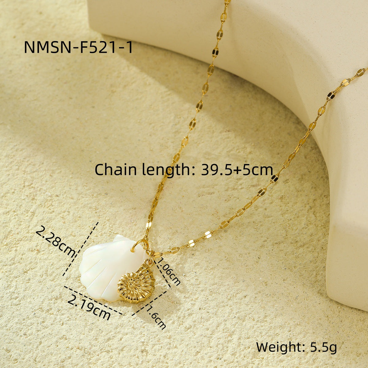 NMSN-F521-1 Snail Shell