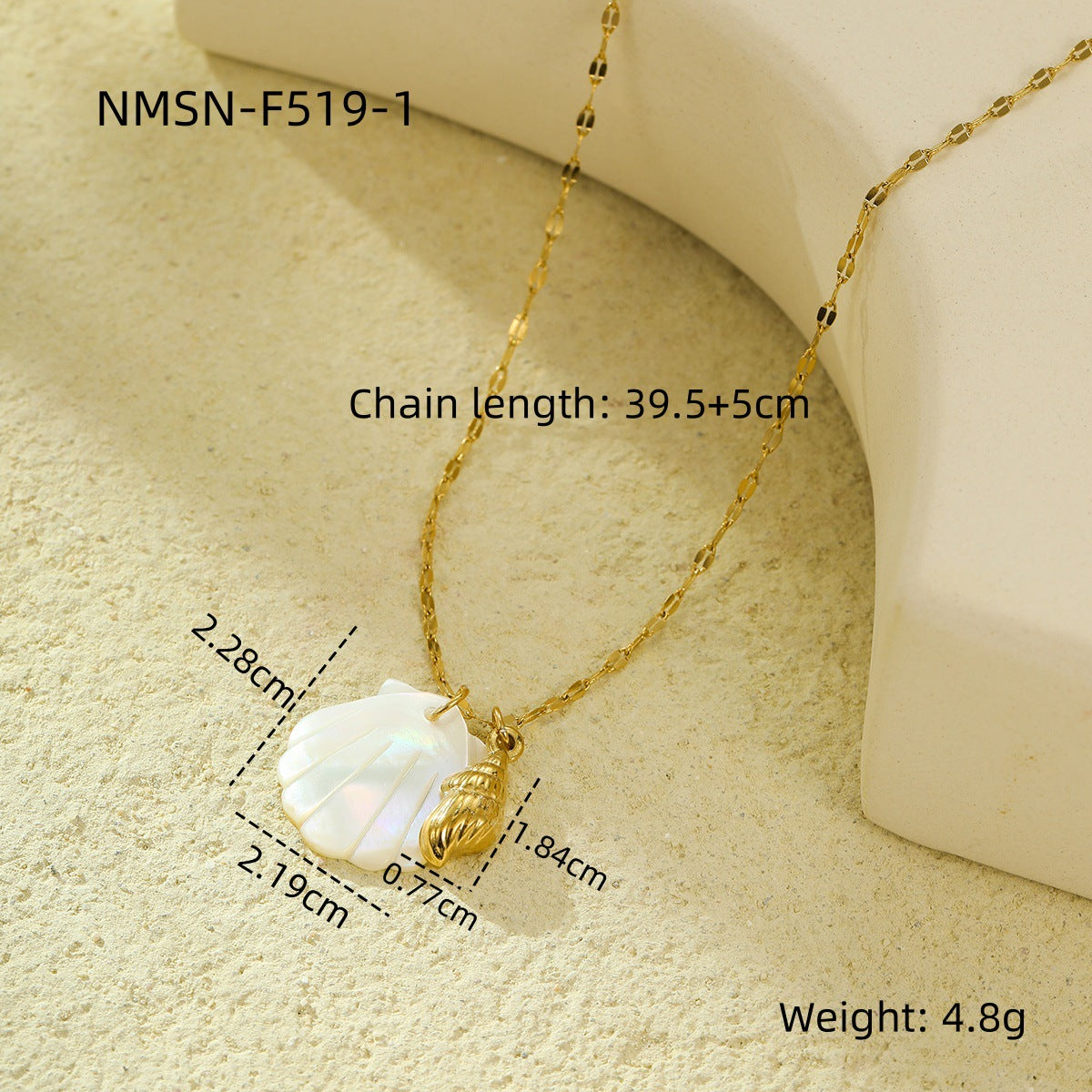 NMSN-F519-1 Conch