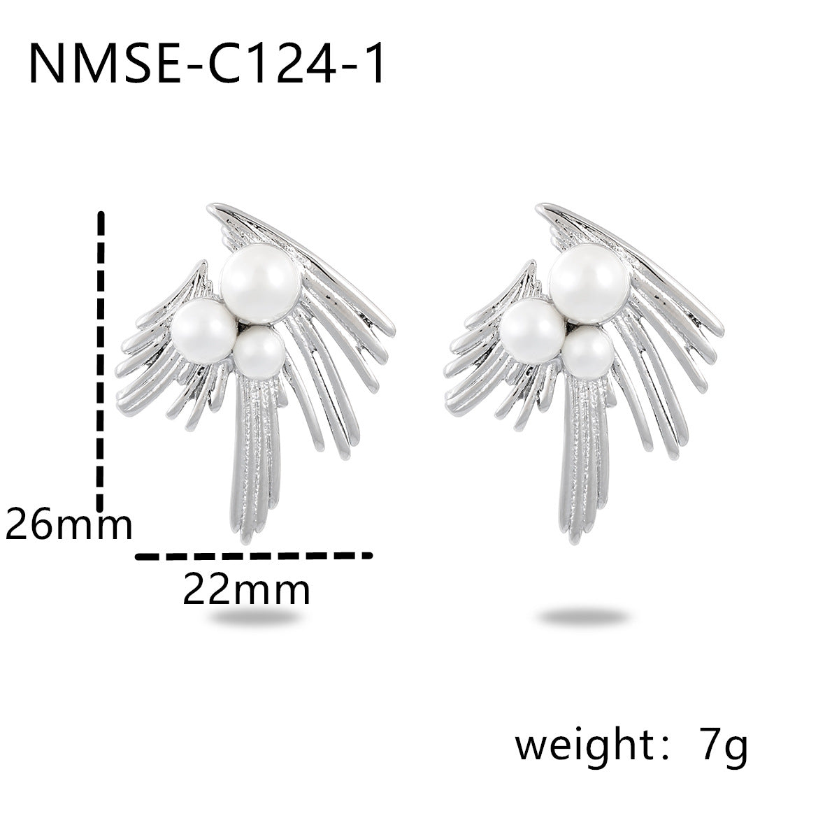 NMSE-C124-1