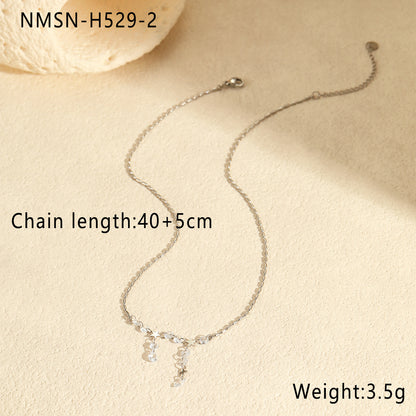 Steel Necklace