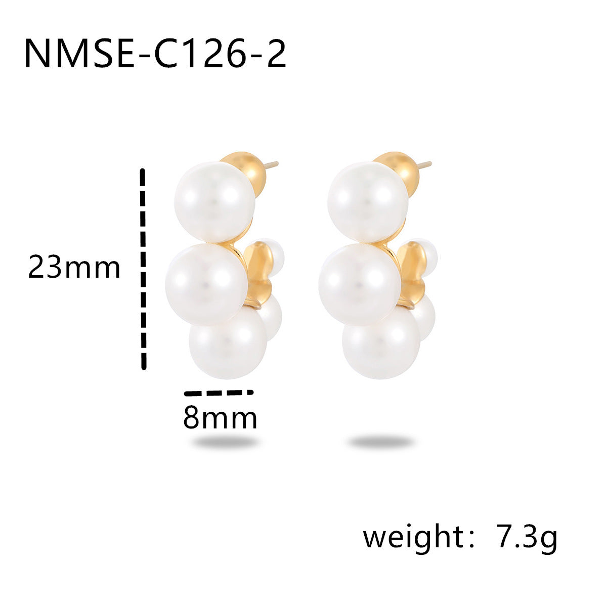 NMSE-C126-2
