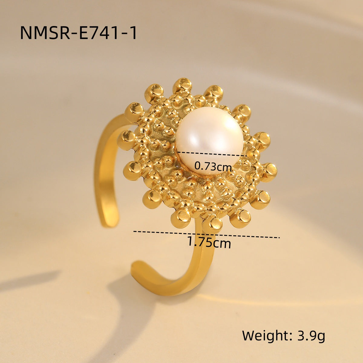 NMSR-E741-1